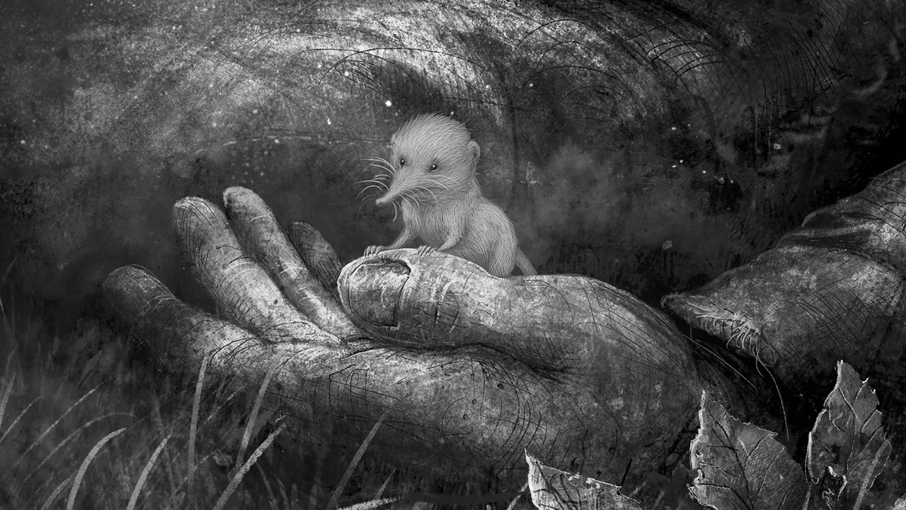 LITTLE SHREW 